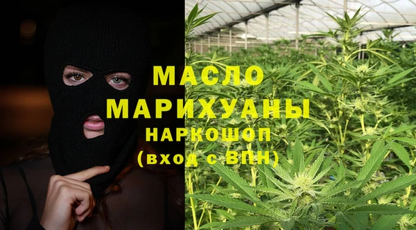 индика Осташков