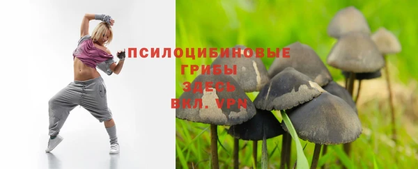 индика Осташков