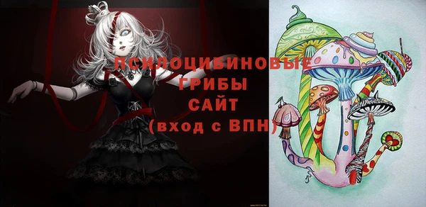 спайс Арсеньев